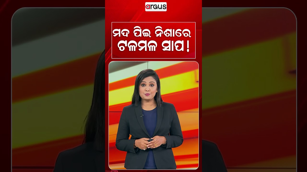 ମଦ ପିଈ ନିଶାରେ ଟଳମଠ ସାପ ! | Viral Video | Snake | Animal Behavior | Viral Snake | Argus News