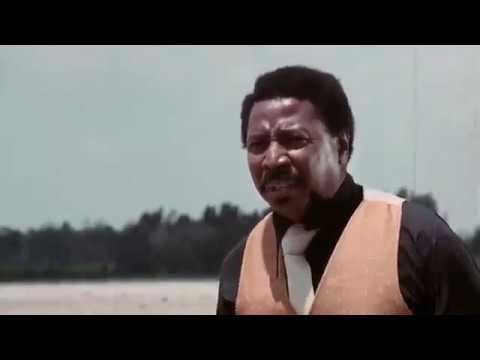 The Six Thousand Dollar Nigger'