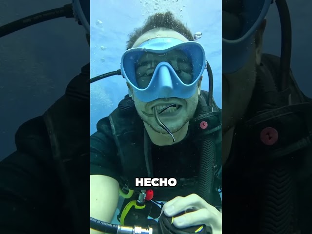 Este Pez Es El Dentista Del Océano 😯❤️