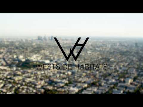 Listing Video