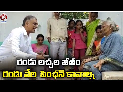 Minister Harish Rao's funny conversation with old woman wins hearts