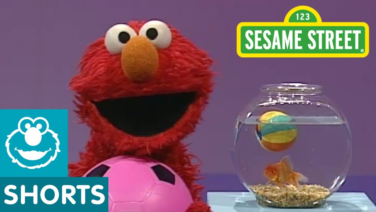 Sesame Street Elmos World Play Ball Youtube