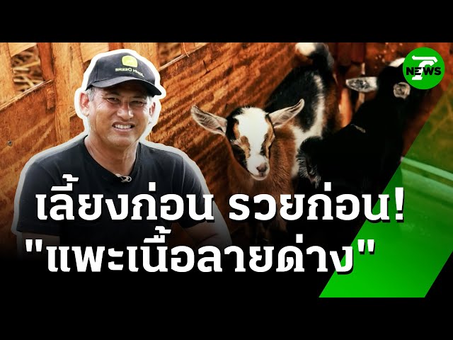Rare Item! "แพะ" สายพันธ์ "บอร์" : ของดีเกษตรบ้านเรา | 11 ก.ค. 68 | ห้องข่าวหัวเขียว
