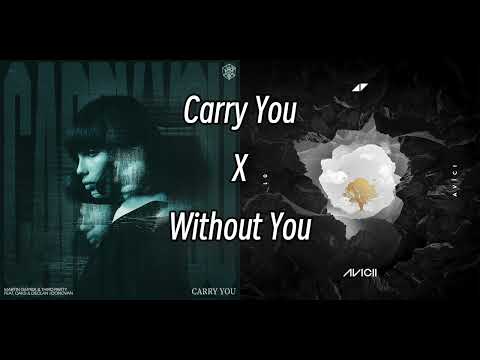 Avicii X Martin Garrix & Third ≡ Party - Without Carry You(Pupil Mashup)