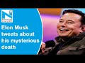 Elon Musk tweets about his mysterious death, says ‘It’s been nice knowing ya’