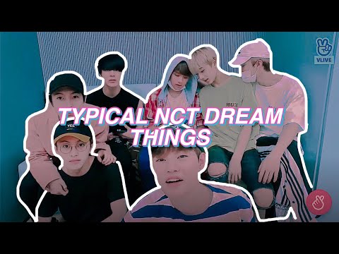 things nct dream does daily