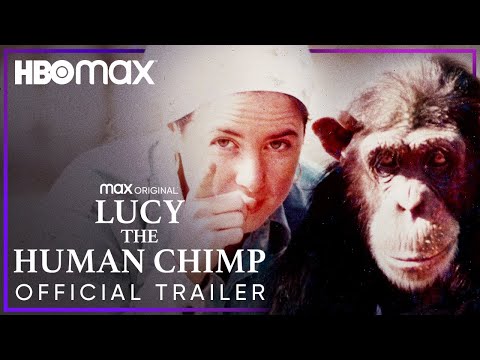 Lucy, the Human Chimp'