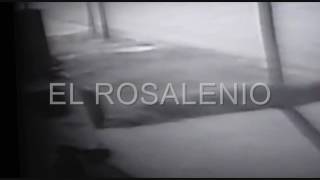 El delito en tiempo real