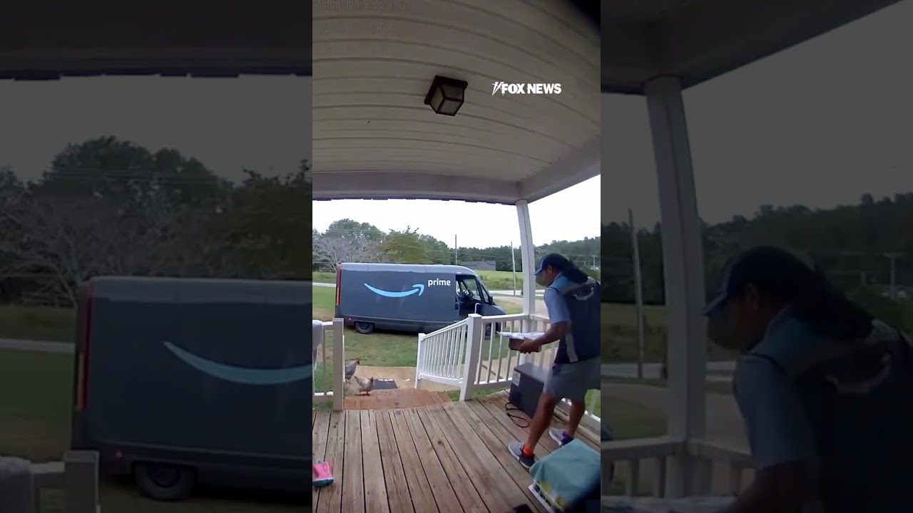 Amazon driver JUMPS fence to dodge chickens #shorts