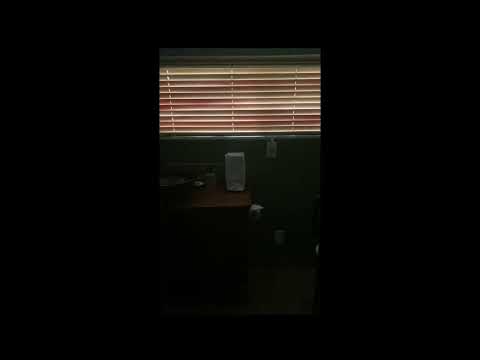 Video realizado por la propiedad