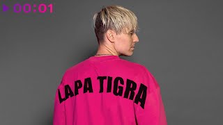 LAPA TIGRA — Твои глаза | Official Audio | 2023