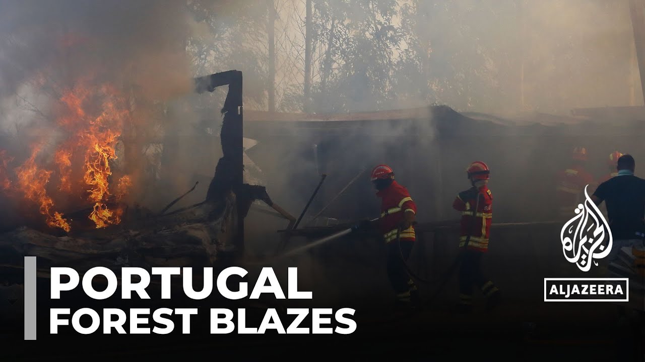 Three firefighters die as Portugal battles dozens of wildfires