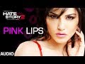 Pink Lips Full Audio Song | Hate Story 2 | Sunny Leone