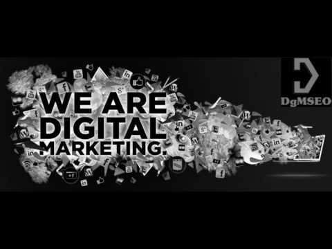 video DgMSEO | Leading web development and Digital marketing
