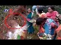 Snake comes out while Women are Praying on Nagula Chavithi