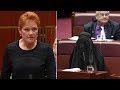 Burqa-clad Australian Senator sparks backlash