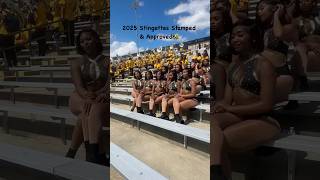 Alabama State Stingettes 💛🖤🐝