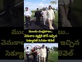 ముందు చంద్రబాబు.. వెనుకాల వ్యక్తికి ఫోన్ ఇచ్చిన సెక్యూరిటీ.. సినిమా లెవెల్.. | CM Chandrababu | - 00:06 min - News - Video