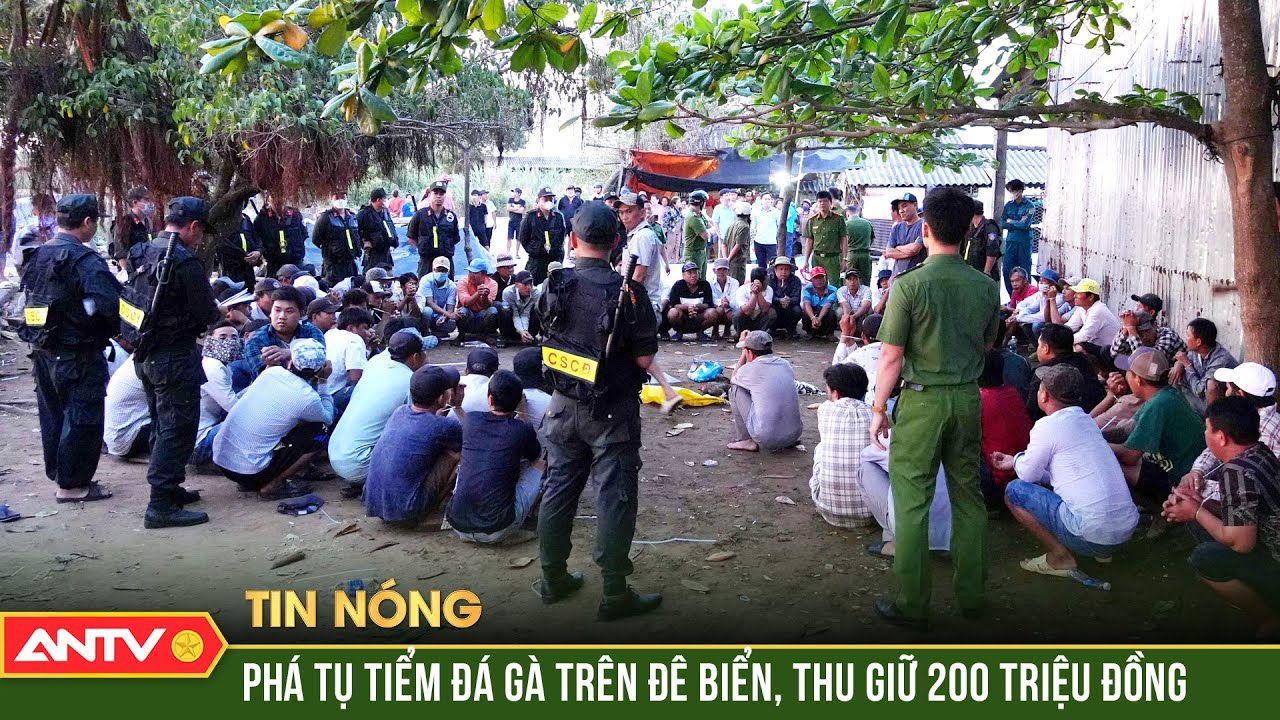 Phá trường gà do “Ba Heo” tổ chức, tóm 75 con bạc đang sát phạt | ANTV