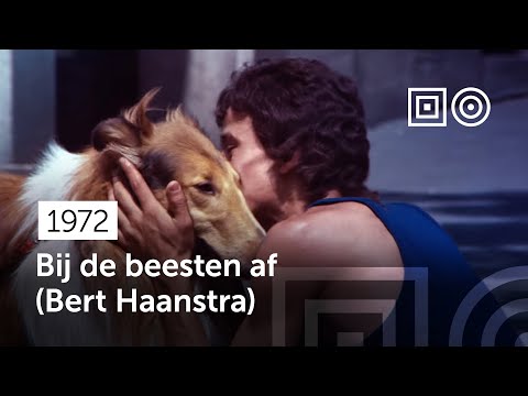 Bij de beesten af'