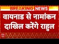 Rahul Gandhi Breaking: वायनाड से नामांकन करेंगे राहुल गांधी | Lok Sabha Elections 2024