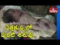 New Born Baby Girl Falls Into Garbage Dump At Anantapur District : Latest Updates