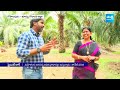 జగనన్నను అడిగే అక్కడికి వెళ్ళాను.. | Taneti Vanitha Exclusive Interview | Straight Talk | @SakshiTV  - 03:51 min - News - Video