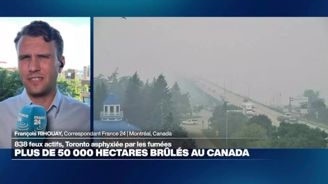 L'Ontario en proie aux flammes, des centaines d'ordres d'évacuations émis • FRANCE 24