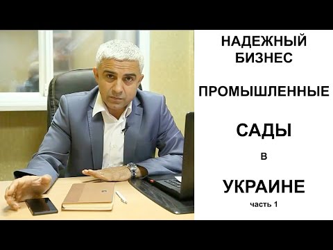 Орехокол своими руками электрический Орехокол своими руками электрический
