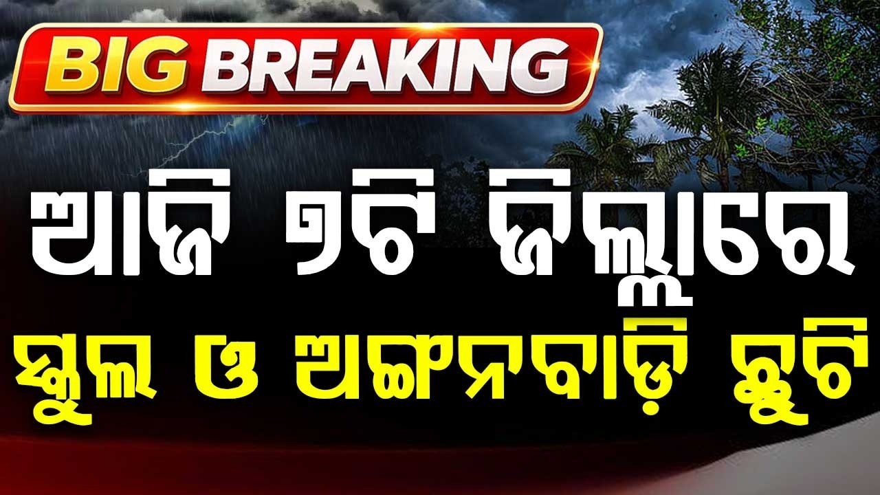Heavy Rain In Odisha: School Holiday Declared In 7 Districts Today | Argus News