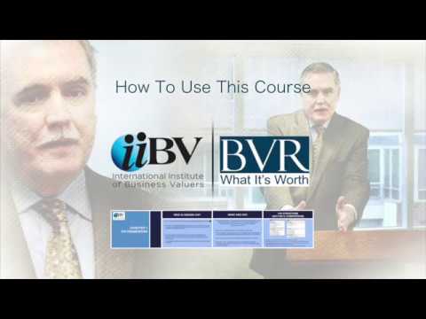 BVR and the iiBV partner on first ever online business valuation standards and ethics course. BVR and the iiBV partner on first ever online business valuation standards and ethics course.