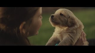 女孩和她的小狗麥迪的故事