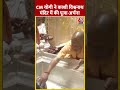 काशी विश्वनाथ मंदिर में CM Yogi ने की पूजा अर्चना | #shorts #shortvideo #viralshorts