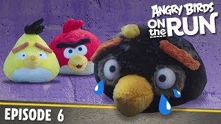 Angry Birds- Na tku - 6 - Vloupn