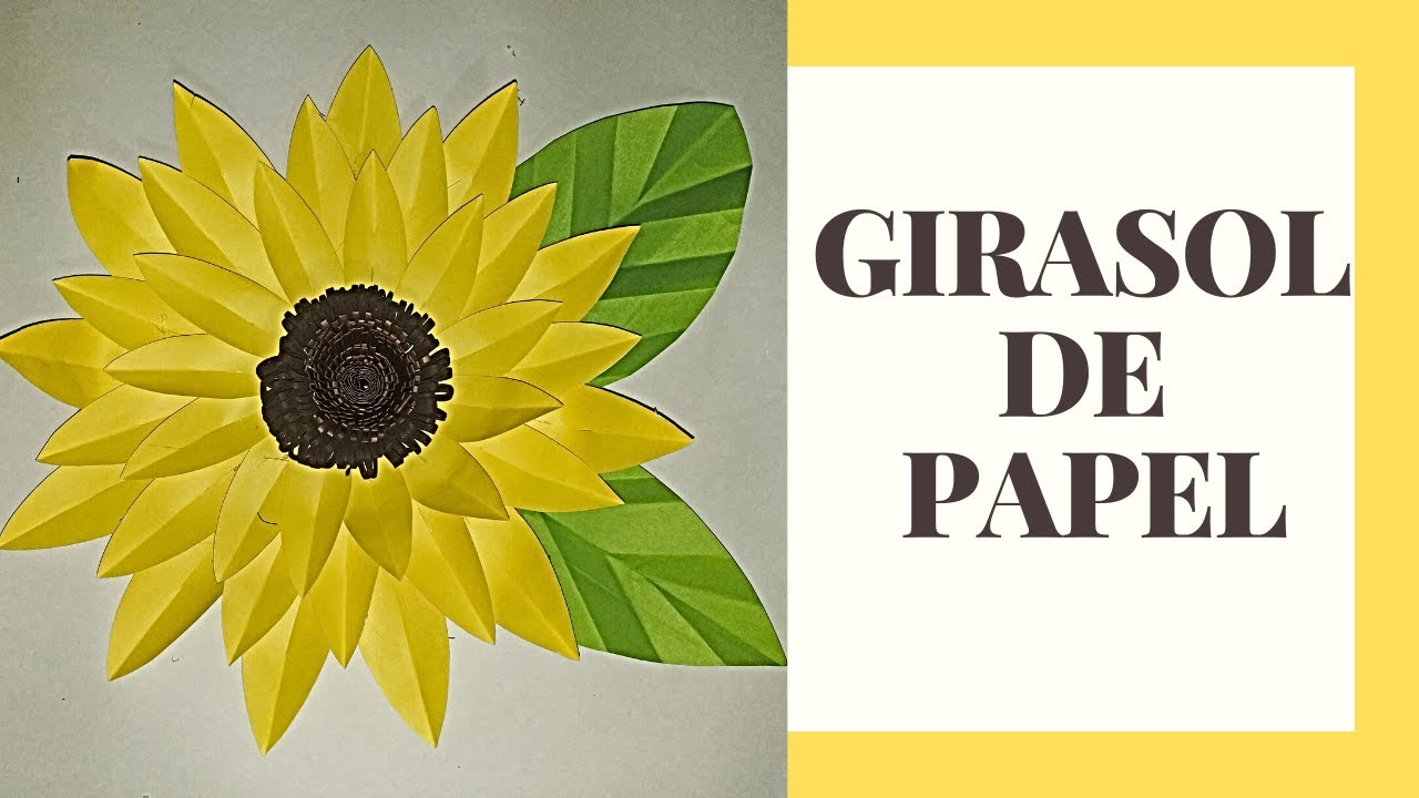 Como hacer pipas de girasol