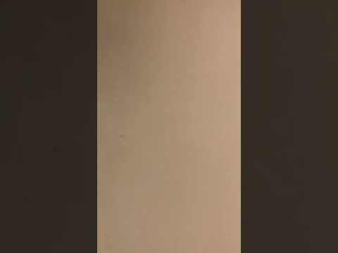 Vídeo da propriedade
