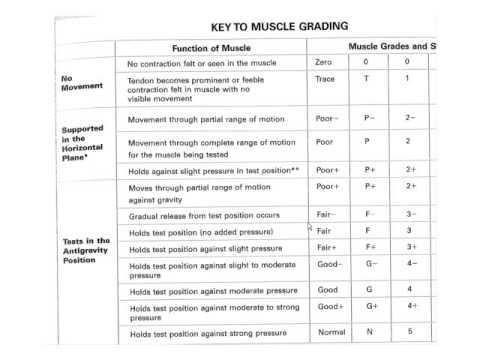 Manual Muscle Testing of The Upper Extremity