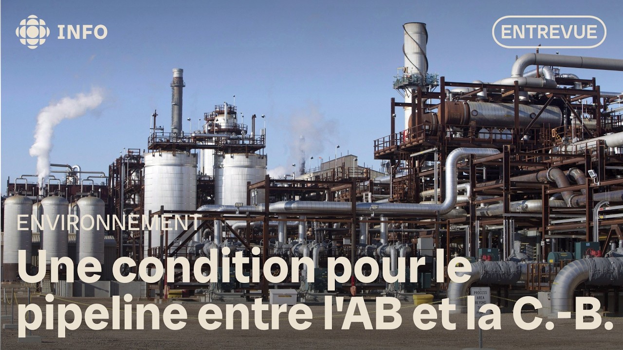 La capture de carbone expliquée