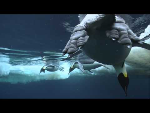 Kingdom of the Oceans'