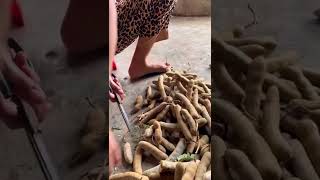 Bí quyết ngâm me lột dễ giữ me giòn ngon| tuyen saphia