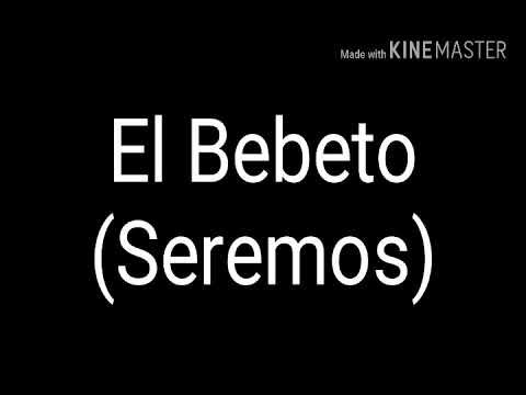 El Bebeto (Seremos) Letra