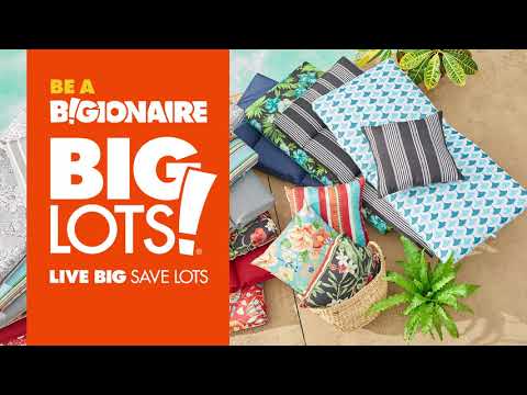 Big Lots launches a new, breakthrough brand campaign – “Be A BIGionaire” – that invites savvy shoppers to feel like a million bucks when they hunt for the best deals at their neighborhood Big Lots. BigLots.com.