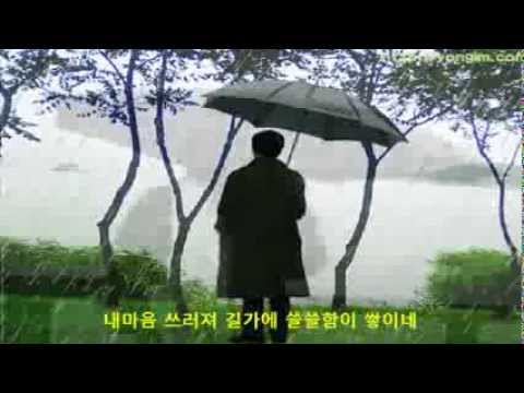 바람꽃 - 비와 외로움