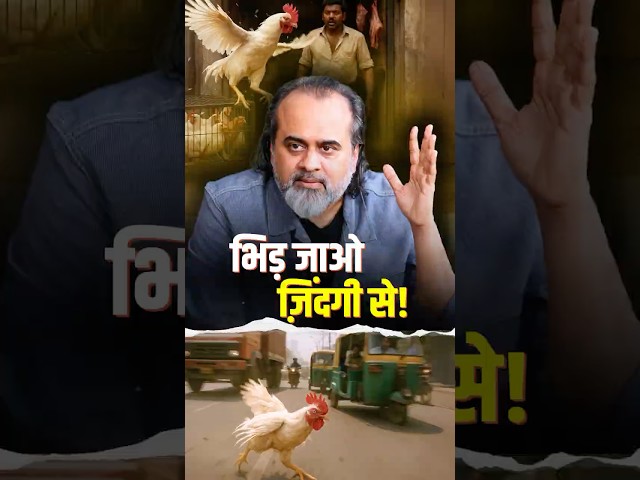 भिड़ जाओ ज़िंदगी से! || आचार्य प्रशांत