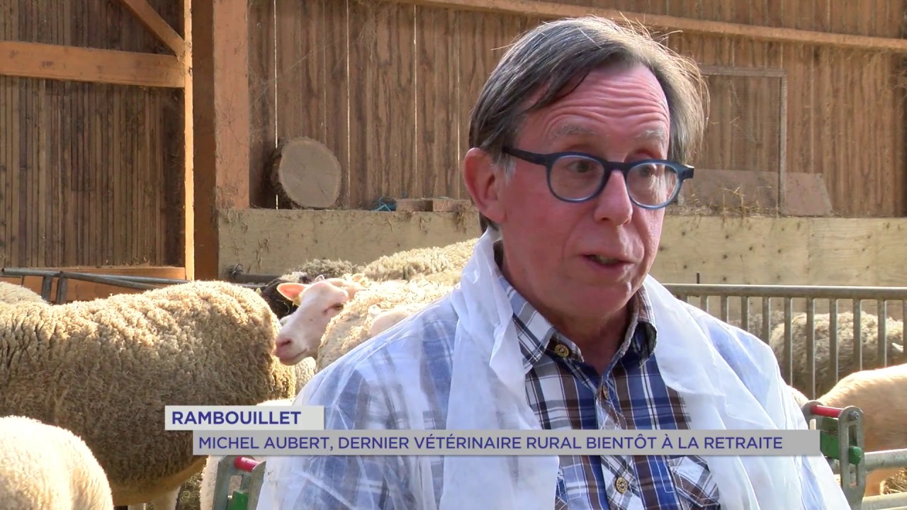 Rambouillet : Michel Auber le dernier vétérinaire rural