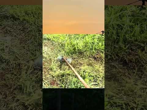 #asmr #cleaning #garden #mow