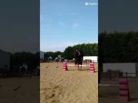 bareback again sorry I haven't posted in ages #horse #equestrianjourney #horselife #pony