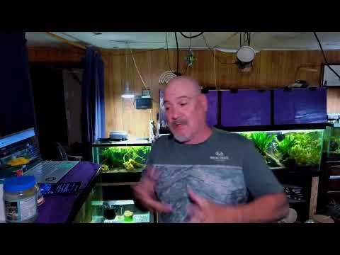 Friday Night Fish N Hits w/ Dan Join this channel to get access to perks_
https_//www.youtube.com/channel/UCBdxLXjOdp26Ke8NQRt7eBg/j
