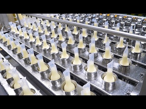 놀랍습니다! 아이스크림 공장이 선보이는 쮸쮸바 대장 탱크보이 생산 과정 Amazing ice cream making process in korean ice cream factory
