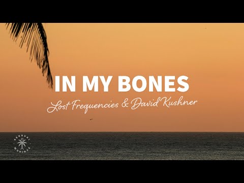 Lost Frequencies & David Kushner - In My Bones (Lyrics)
